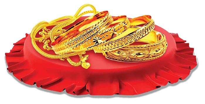 Gold Loan Details
