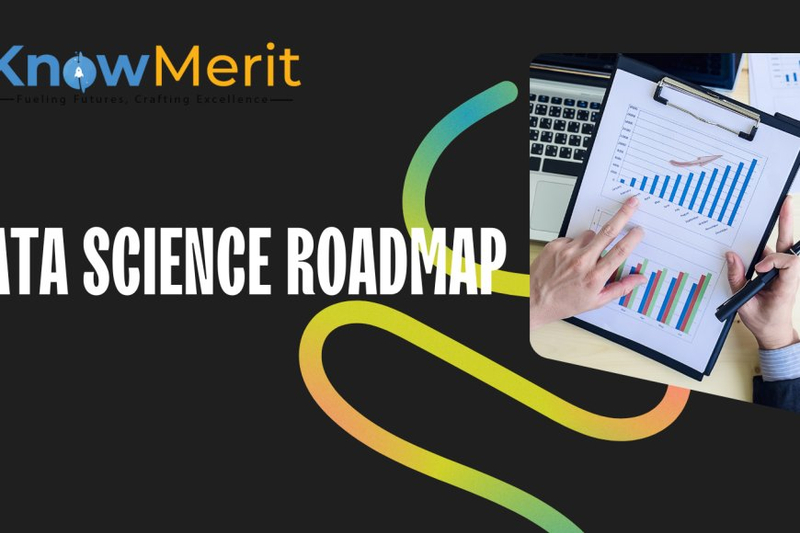 7 Steps to Navigate Your Data Science Roadmap to Success