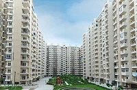 Home in Noida: Buy Flat in Noida