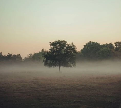 Reasons to Search for the Correct Owner or Potential Heirs of Empty Buildings in the UK