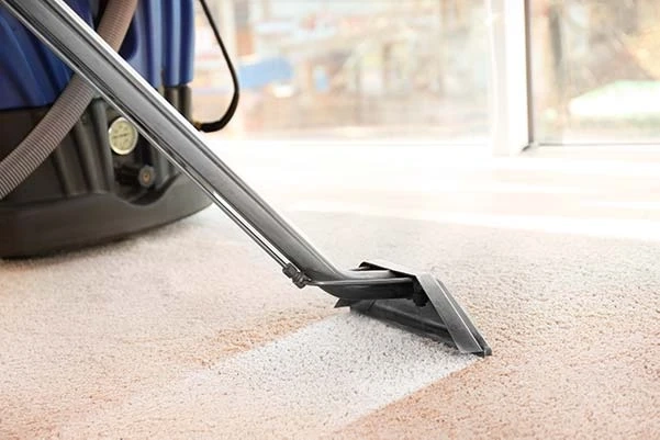 How Many Times Should You Clean Your Carpet?