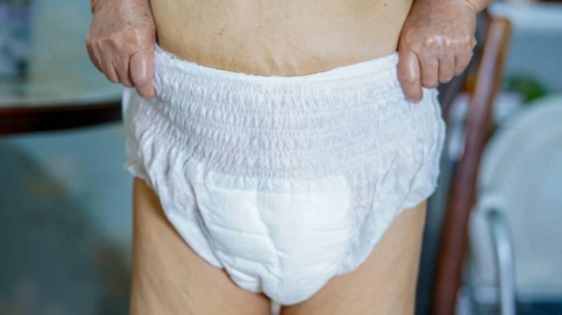 North America Adult Diaper Market Demand, Upcoming Trends, Top Vendors, Share, Size