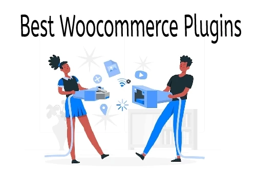 Best Woocommerce Plugins for a Flourishing Business Website.