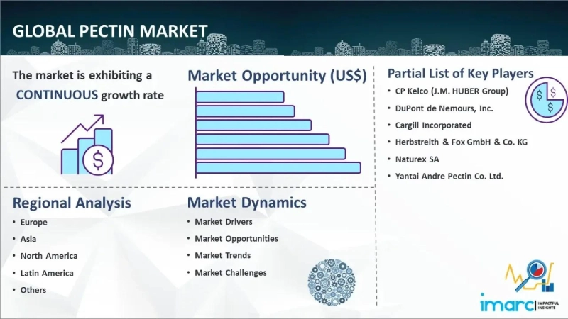 Pectin Market Size, Demand, Business Challenges, Opportunities and Major Key Players 2024-2032