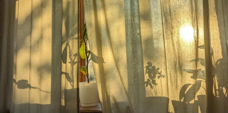 ERP Therapy for OCD: A Clear, Supportive Path to Real Change