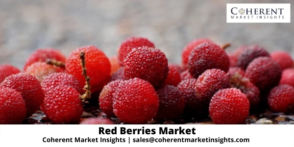 Pulpy Red Berries are Used in Beverages, Bakeries, and Sauces, among other Uses.