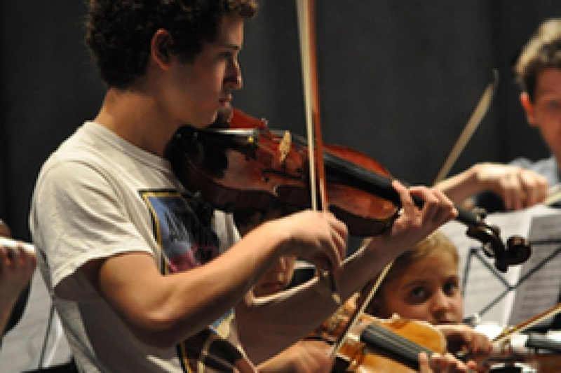 Choosing The Right Suzuki Violin Teacher Training Program: Key Considerations