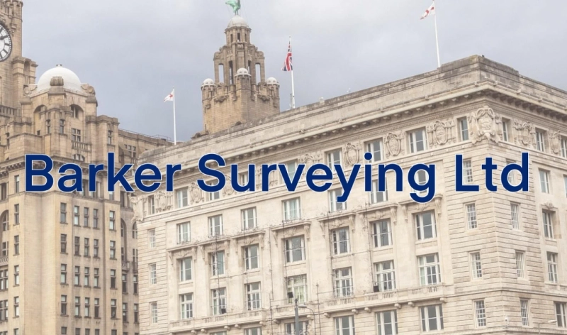 House Surveys - Could They Be Well worth the Price?