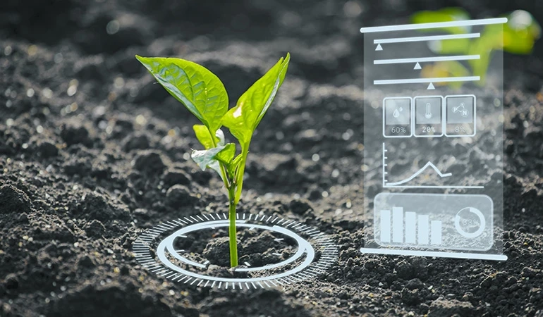 Success Stories: How AI Is Transforming Agriculture Practices
