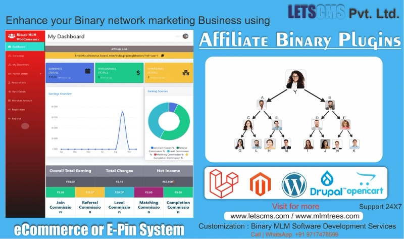 Binary Plan for MLM Software - Binary Matrix and Level Plan with Affiliate Program