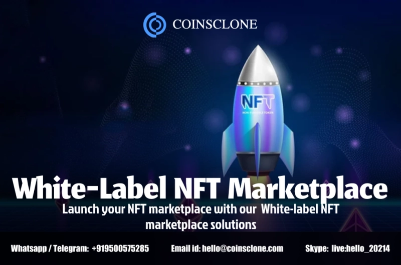 What to take into account when creating a White label NFT marketplace?