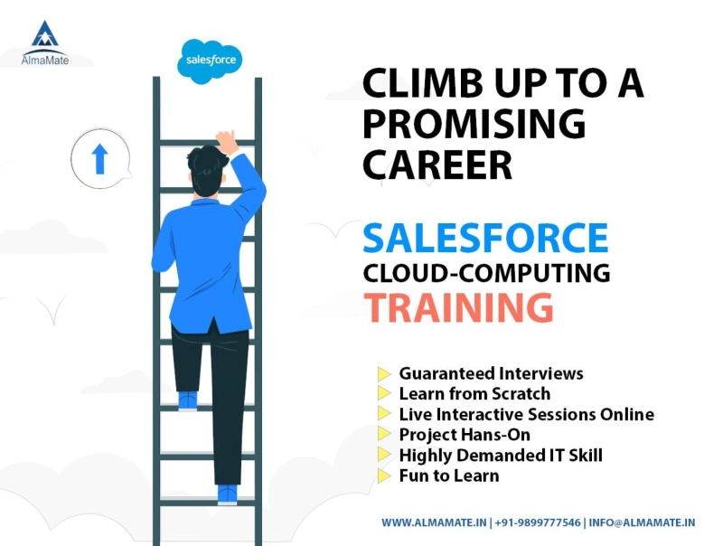 AlmaMate Info Tech - Best Salesforce Training in Noida