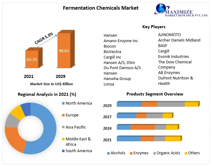 Fermentation Chemicals Market to Observe Massive Growth by 2029.