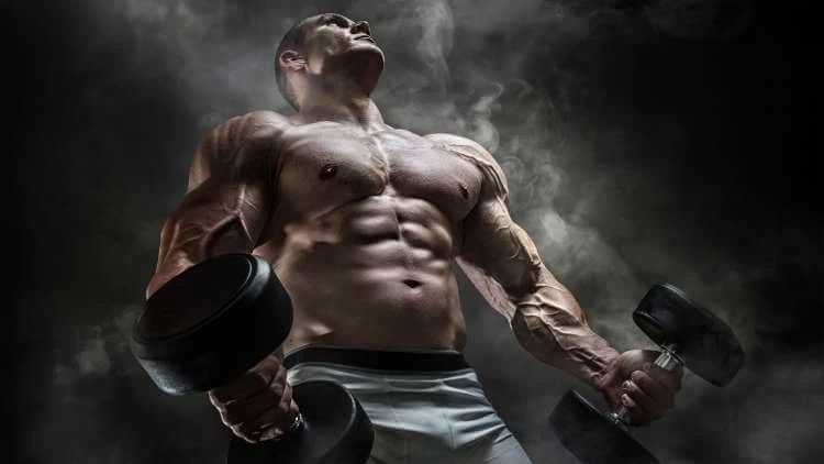 What Are Aus Labs SARMS?