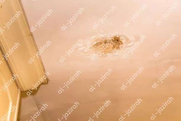 Professional leak detection companies
