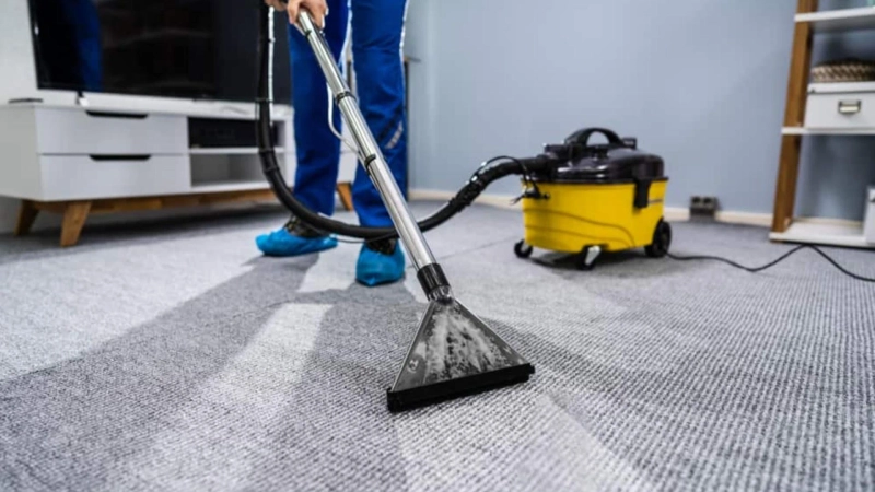 All You Need To Know About Carpet Cleaning