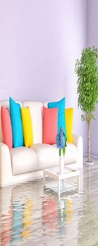 Tips in Saving Water-Damaged Pictures