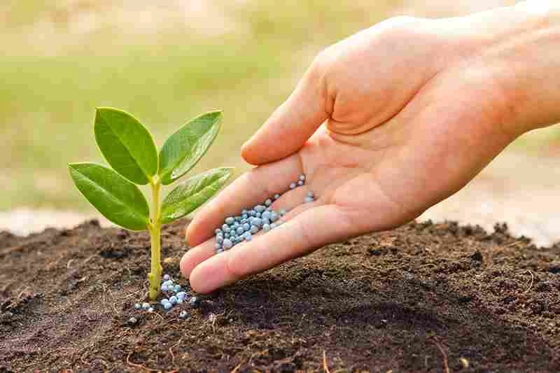 United States Fertilizers Market Share, Size , Trends, Analysis, Growth and Forecast