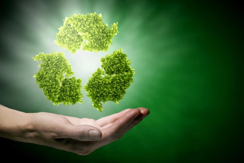 Recycling Revolution: The Latest Trends Transforming Waste Management