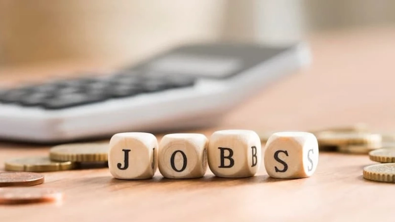 Top 4 Government Jobs After Cracking SSC CHSL Exam