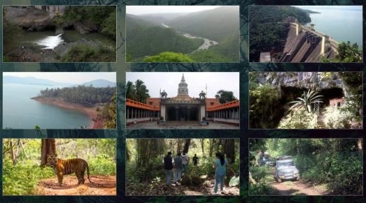 What Are The Benefits Of Booking Dandeli Resorts At Affordable Packages?