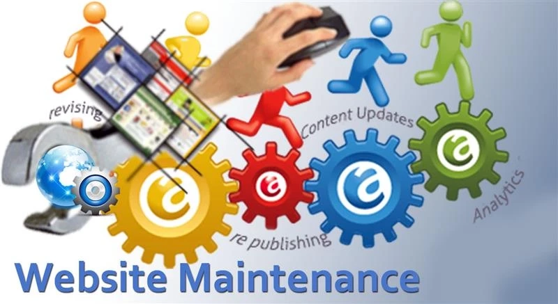 Ensuring Course Content Updates with Website Maintenance Services