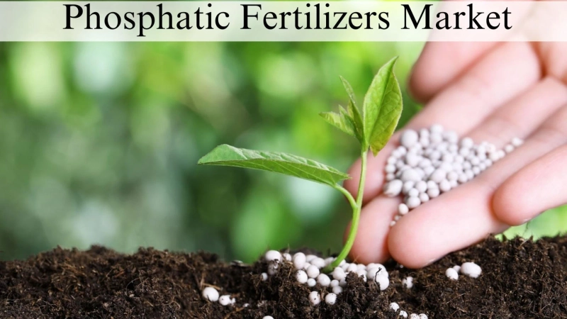 Phosphatic Fertilizers Market Size, Growth Forecast Through 2032