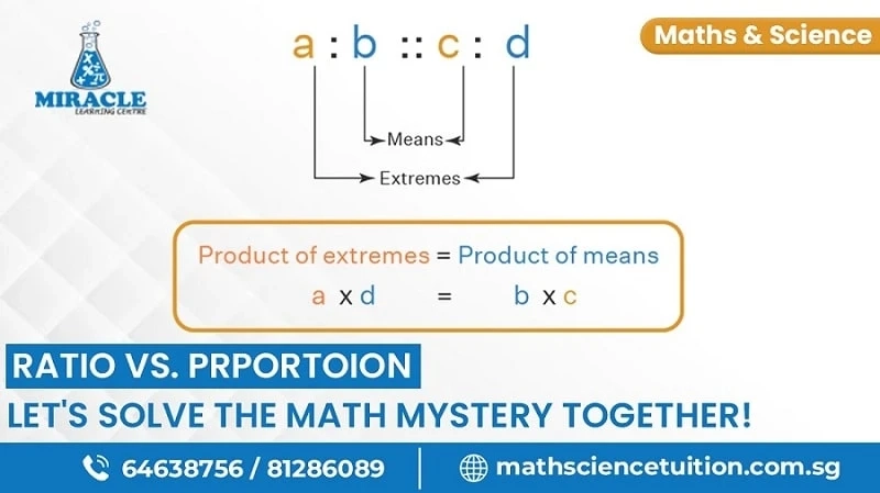 Understanding the Balance: Exploring the Difference between Ratio and Proportion