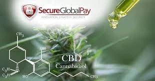 Merchant Accounts For CBD : Everything You Need To Know About