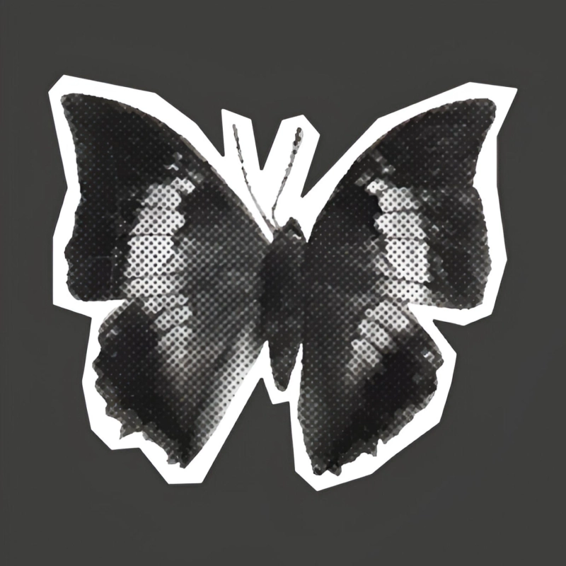 Embracing the Dark Elegance: The Allure of the Gothic Butterfly in Art Design