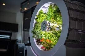 Smart Indoor Garden Market 2022 Size, Dynamics & Forecast Report to 2028