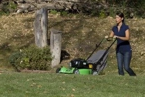 Lawn Boy 10632 Self Propelled Lawn Mower Review