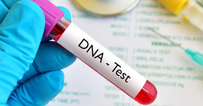 5 Advices for Friends on DNA Testing for Immigration
