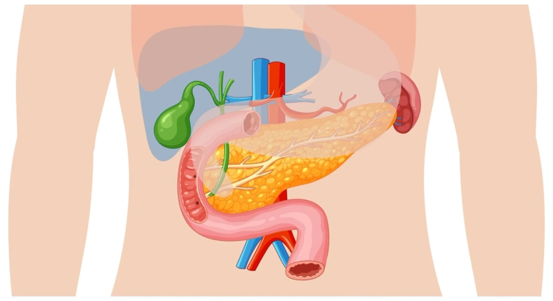 What Is Gall Bladder & Biliary Tract Surgery? Procedure, Risks & Recovery