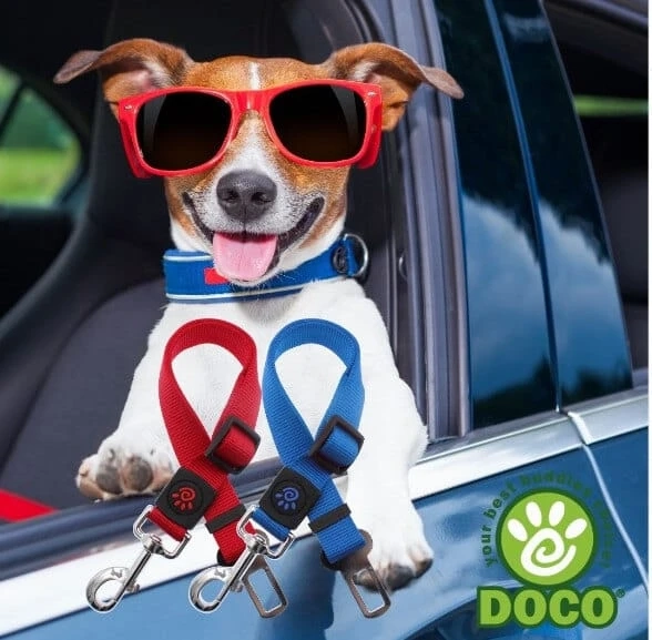Solar Technology in Pet Accessories: A Closer Look at Solar Dog Collars