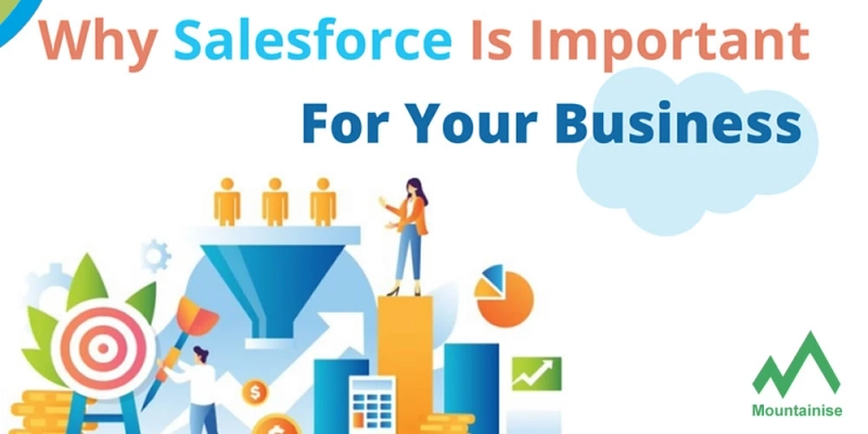 Why Salesforce is Important for Your Business