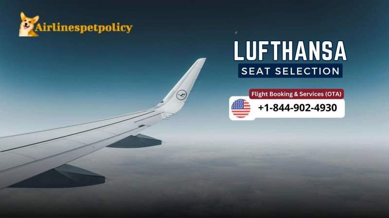 Lufthansa Seat Selection | Policy & Fee