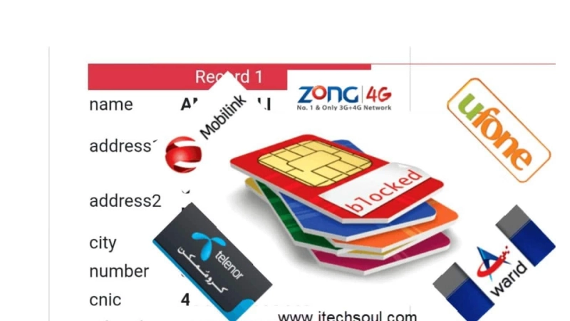 Sim Database: Unveiling the Power of Connectivity