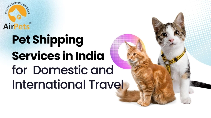 Pet Shipping Services in India for Domestic and International Travel