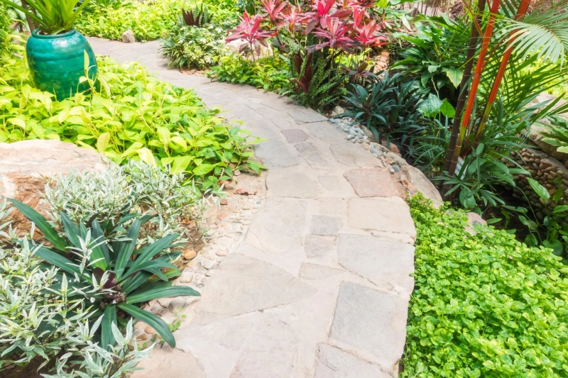 Professional Outdoor Care for Homes and Businesses