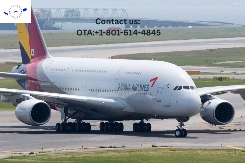 How do I talk to a real person at Asiana? Here it goes smoothly! 