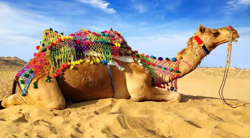 Desert Safari in Jaisalmer, Rajasthan with Travel Agents in India