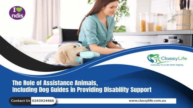 SIL & STA provider in Newcastle, Central Coast