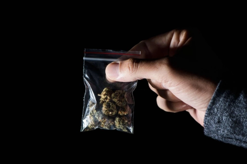 A Beginner's Guide For Marijuana Plastic Bag Packaging Machine