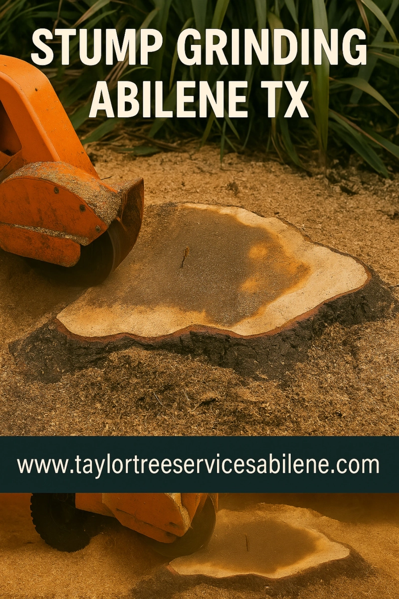 Essential Tips for Choosing Stump Grinding in Abilene TX
