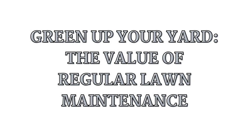 Green up your yard: The value of regular lawn maintenance