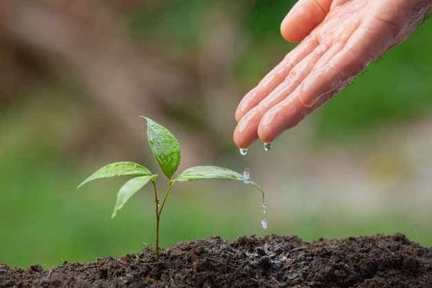 Some Approaches About Crop Protection Measures
