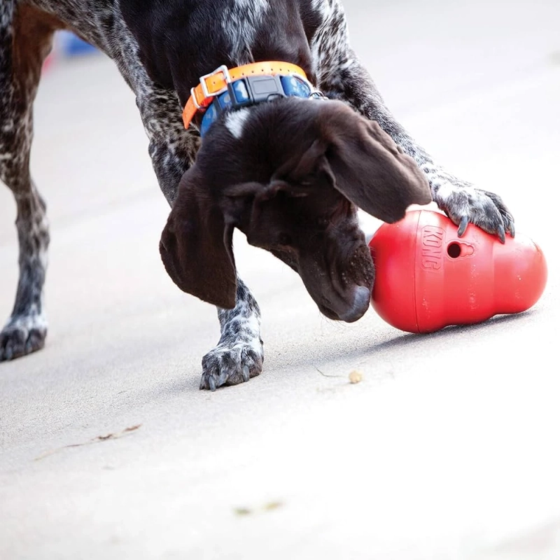 KONG Wobbler: The Fun Toy Your Dog Needs