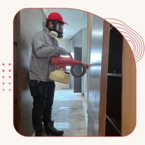 Bed Bug Prevention: Practical Ways to Protect Your Home