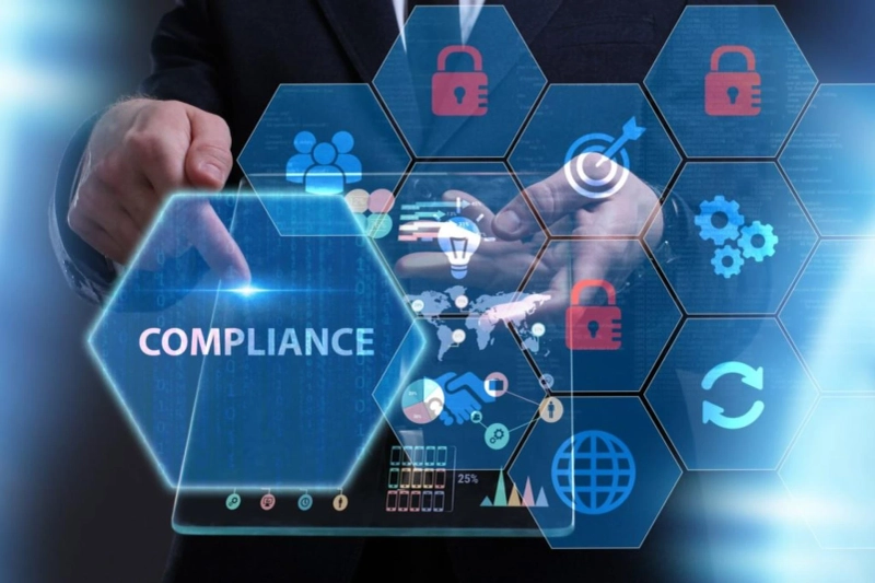 What is the Job Role of a Compliance Consultant?